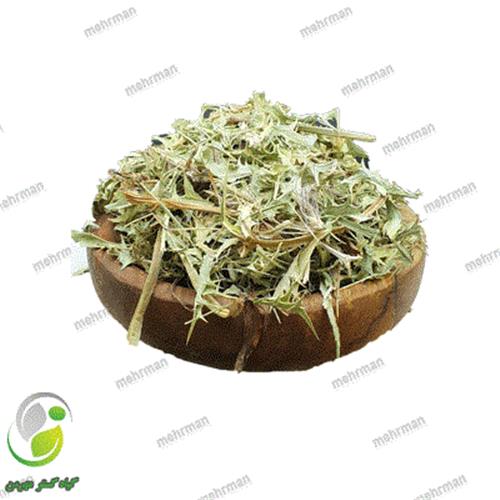 بوقناق(کدT 05)