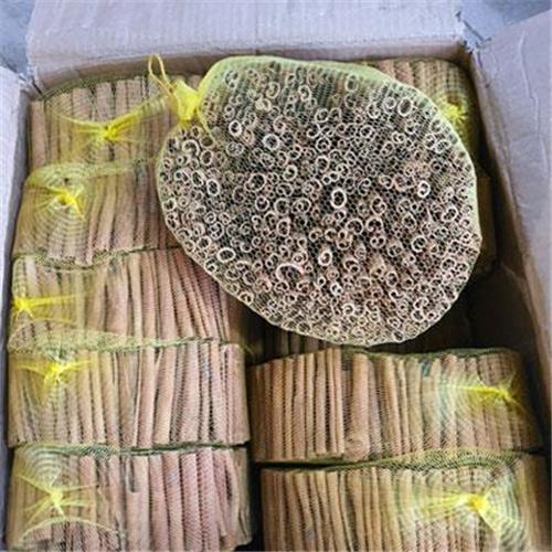دارچین سیگاری توبک (کد12)