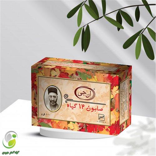 صابون 12 گیاه موی سر 100 گرمی ان جی(کد04)