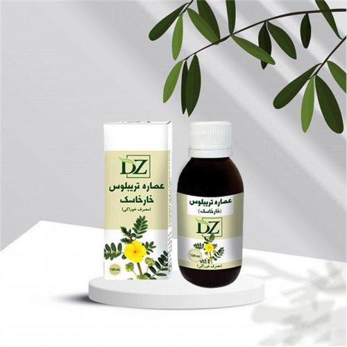 عصاره خوراکی خارخاسک 120 سی سی دکتر زرقانی (کد02)