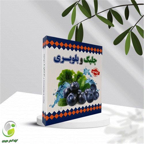 پودر جلبک و بلوبری(لاغر کننده و چربی سوز)(کد 04)