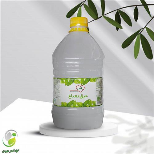 عرق نعنا 4 لیتری پارف(کد01)