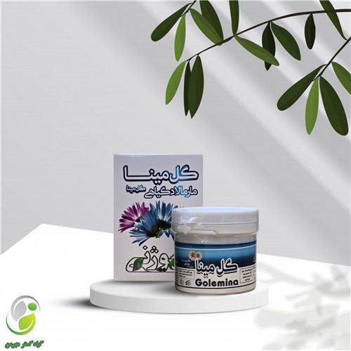 ریچل گل مینا (ترک اعتیاد)(کد02)