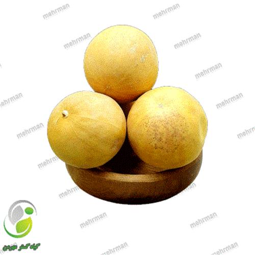 هندوانه ابوجهل/حنظل(کد 05T)