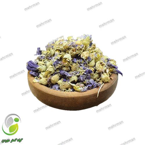 گل ختمی بنفش(کد 04)
