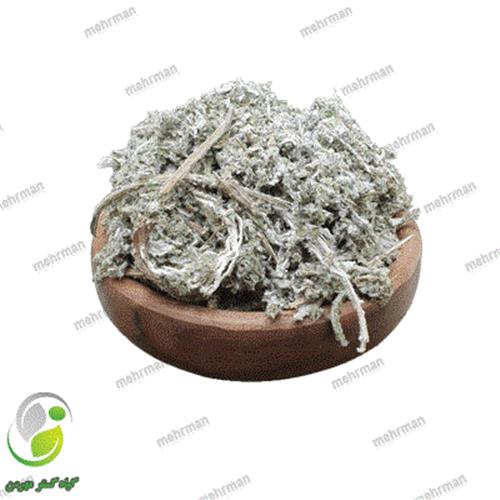 آرتیشو (کنگر فرنگی) (کد 05)