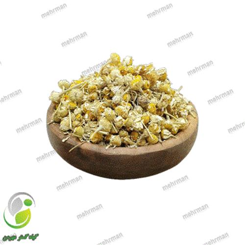 بابونه چشم گاوی(کد 04)