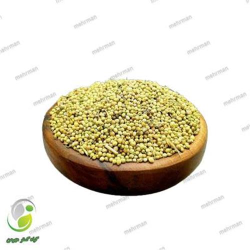 تخم گشنیز درشت(کد 05)