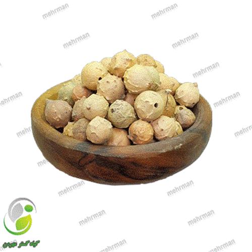 مازو درشت(کد 05)