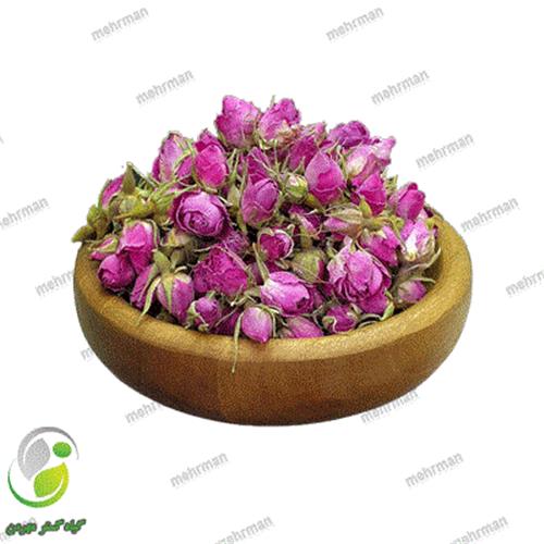 گل سرخ غنچه اعلا (کد 12)